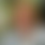 Fernanda_20 2